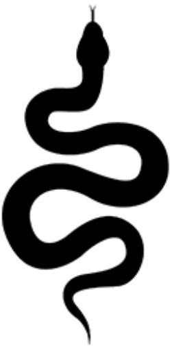 Great Snake LLC